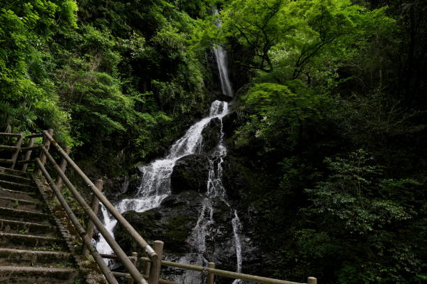 istock Falls in the fresh green forest 1390803282