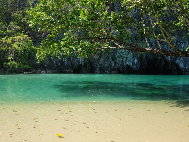 istock Turquoise water in Palawan underground river 1390804988
