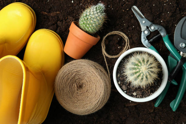 istock Concept of gardening on soil background, top view 1390806392
