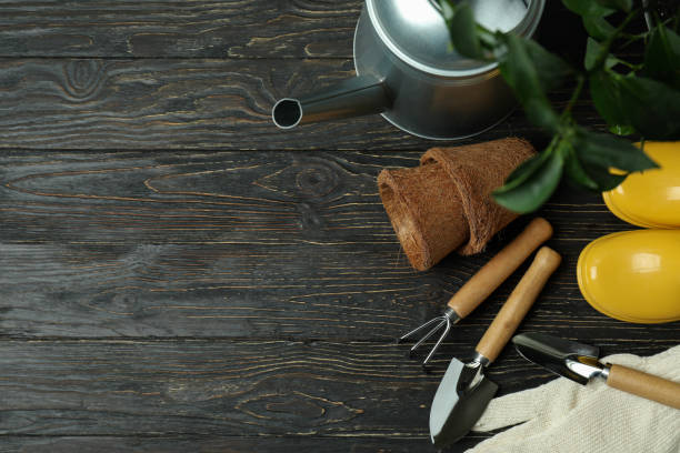 istock Concept of gardening on rustic wooden background 1390806584