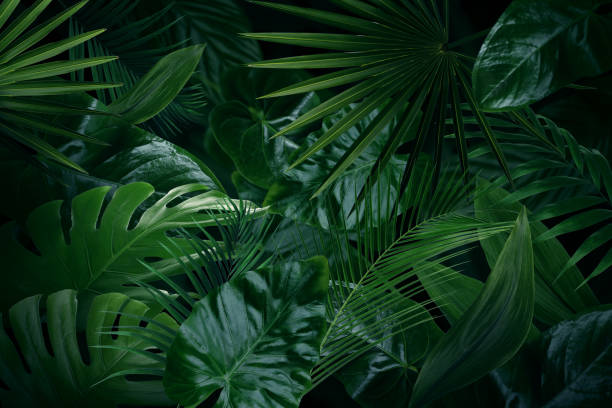 istock Many bright green tropical leaves as background 1390808060