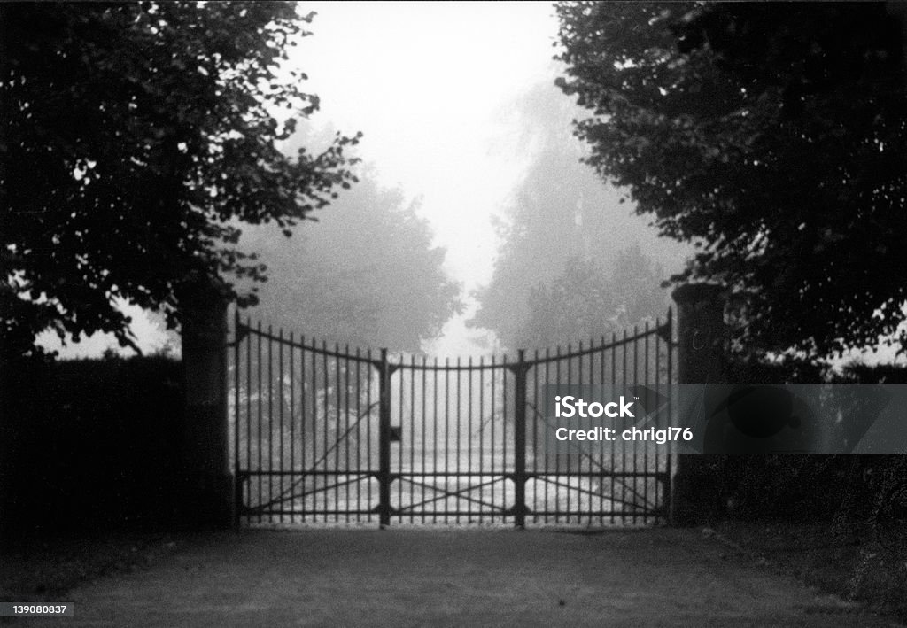 mystery gate gate leading to a foggy graveyard Black And White Stock Photo