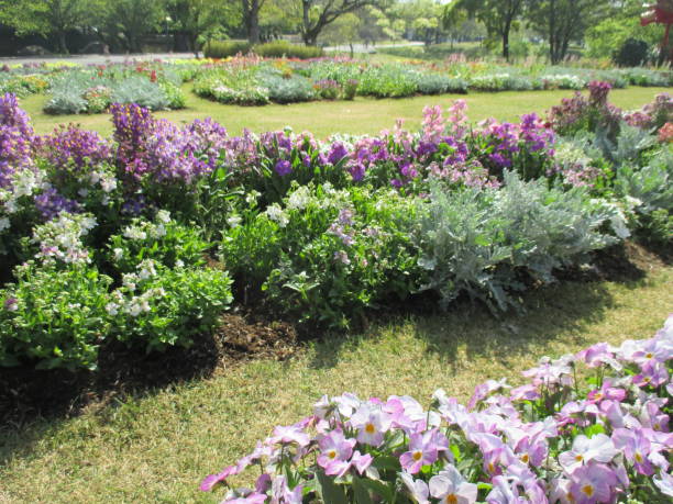 istock Spring flowerbed with many colorful flowers in full bloom 1390810275