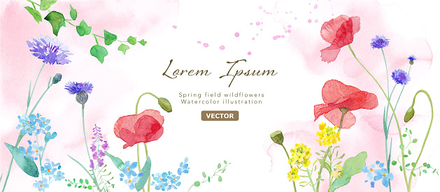 A watercolor illustration of a spring field where various flowers are in full bloom. Frame decoration. vector. Layout can be changed.