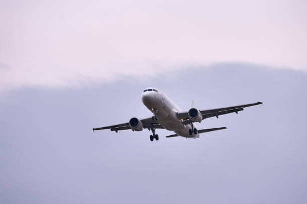istock airplane flying in the sky 1390810691
