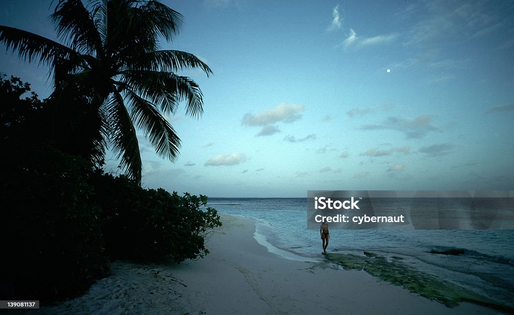 Abend am Strand - Lizenzfrei Fotografie Stock-Foto