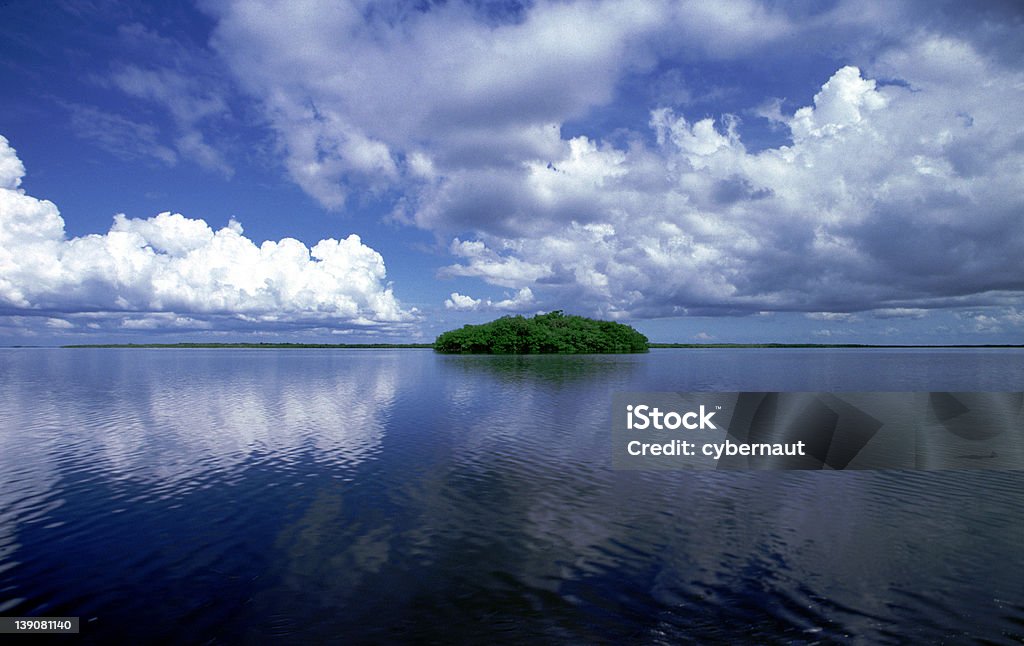 Parco Nazionale delle Everglades - Foto stock royalty-free di Isola