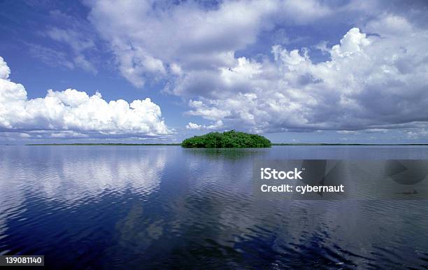 Parco Nazionale Delle Everglades - Fotografie stock e altre immagini di Isola - Isola, Numero 1000, Numero 10