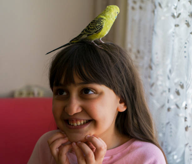 istock Little Girl With A Budgie 1390812046