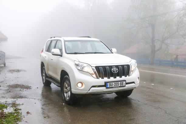 toyota land cruiser prado 150 - street light fog morning country road zdjęcia i obrazy z banku zdjęć