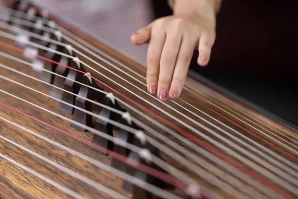 Close up of a female performer playing a guzheng or Chinese zither. a traditional oriental stringed instrument, china, asia