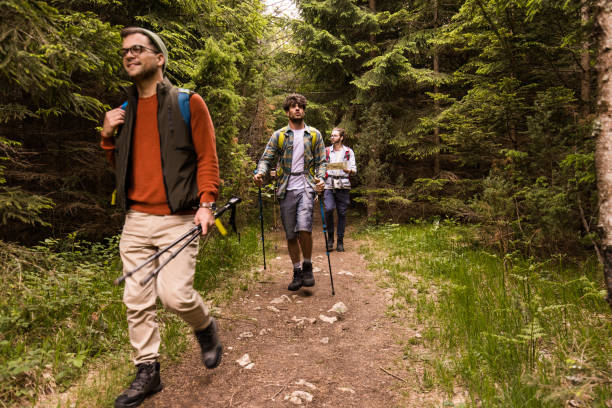 istock Young male hikers walking through the woods. 1390816056