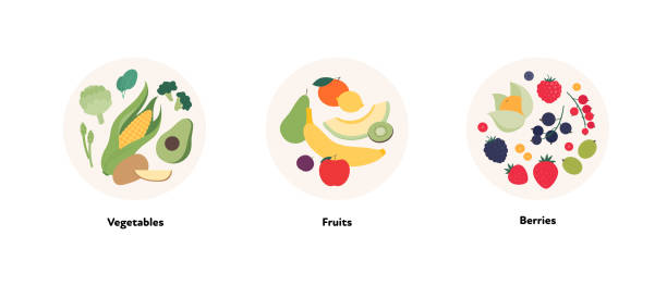 ilustrações, clipart, desenhos animados e ícones de coleção de ilustração de alimentos. design plano vetorial de vários vegetais, frutas e frutos símbolo em quadro de círculo isolado em fundo branco. - cauliflower white backgrounds isolated