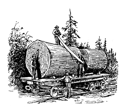 Antique illustration of USA, Washington landmarks and companies: Big Lumber