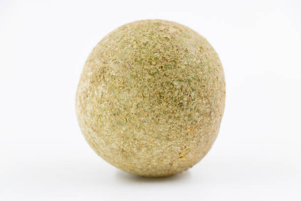 istock wood apple or beal fruit or bell over on white background 1390819748