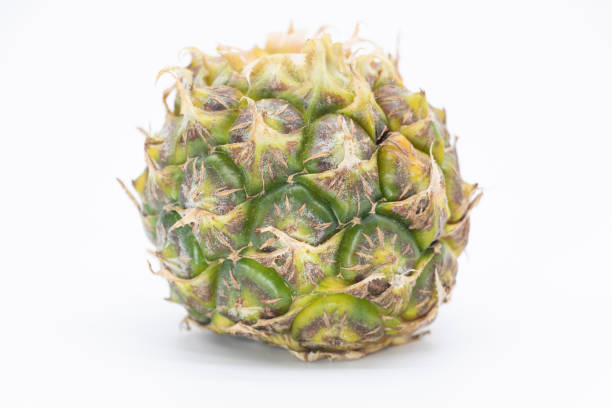 Pineapple on blue background