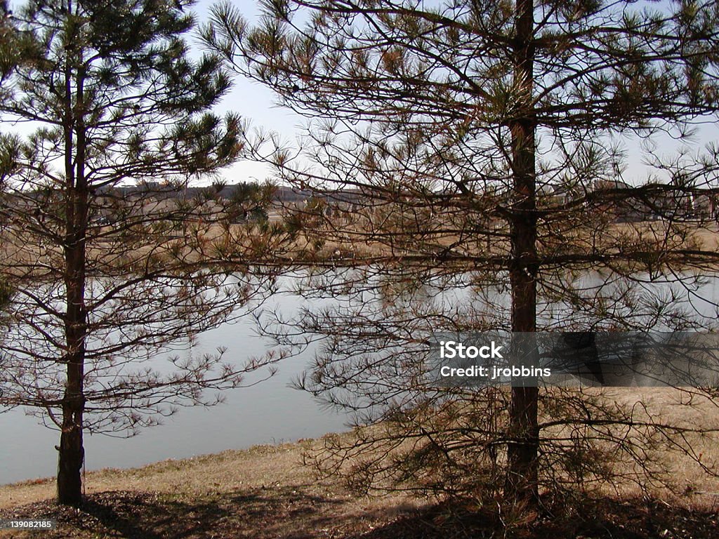 Frio Kansas inverno-Lake - Royalty-free Inverno Foto de stock