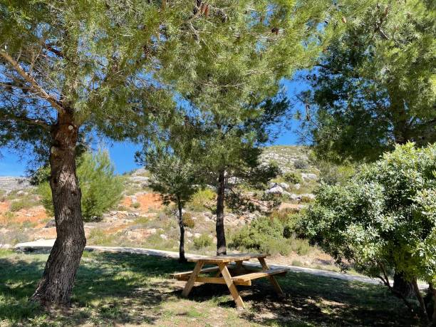 istock Picnic grounds at a green park in the Spanish mountains 1390823117