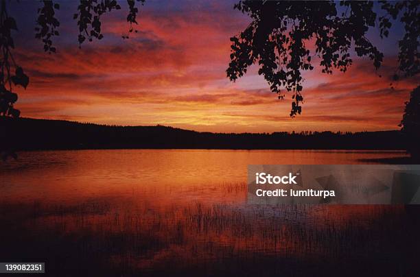 Sonnenuntergang Im Nahen Finnland Stockfoto und mehr Bilder von Abenddämmerung - Abenddämmerung, Baum, Blatt - Pflanzenbestandteile