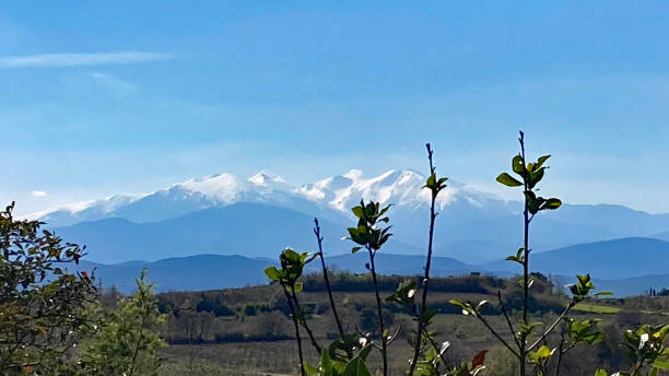 Mount Canigou stock photo