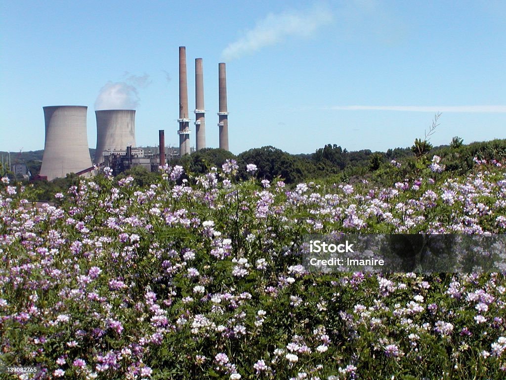 Centrale nucléaire, des fleurs en premier plan, Belevdere, dans le New Jersey - Photo de New Jersey libre de droits