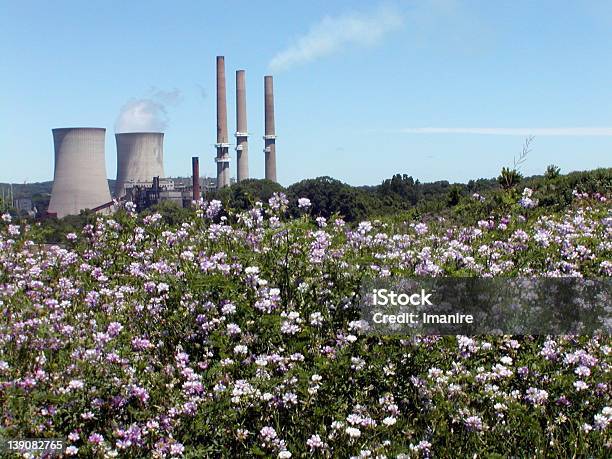 Impianto Di Energia Nucleare Fiori In Primo Piano Belevdere Nj - Fotografie stock e altre immagini di New Jersey