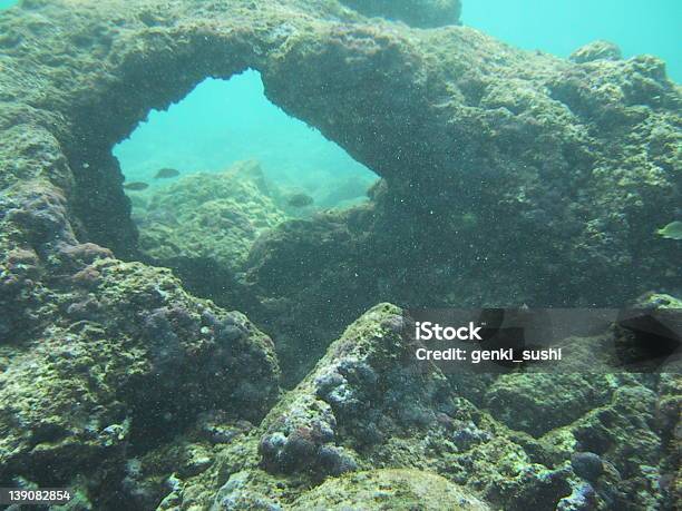 Tunnel Di Barriera Corallina - Fotografie stock e altre immagini di Acqua - Acqua, Barriera corallina, Clima tropicale