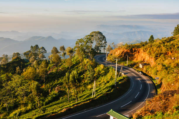 A road in the mountains and greenery