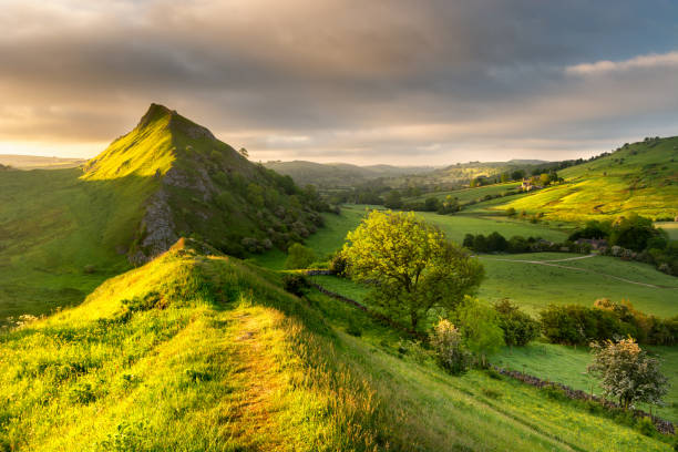 Colorful Green Fields With Bright Summer Early Morning Sunlight At Chrome Hill In The Peak District, UK. Wide view of beautiful vibrant sunlight on a Summer morning at Chrome Hill in The Peak District, UK. peak district national park stock pictures, royalty-free photos & images