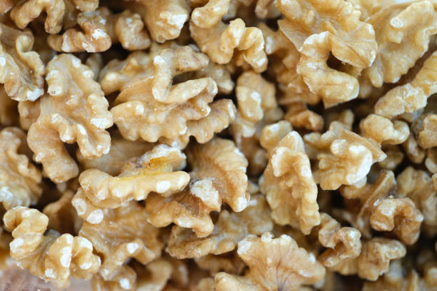 Shelled walnuts. Being smart vs. stupid. Accurate solutions lead to success, efficiency, smartness, cleverness let you avoid complications and hard work.