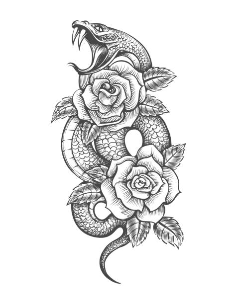 ilustraciones, imágenes clip art, dibujos animados e iconos de stock de tatuaje de rosas de serpiente - tatuaje