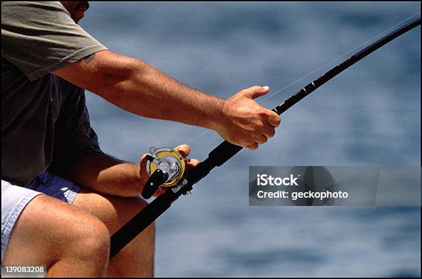 Big Catch Stock Photo - Download Image Now - Tarpon, Catch of Fish, Fish