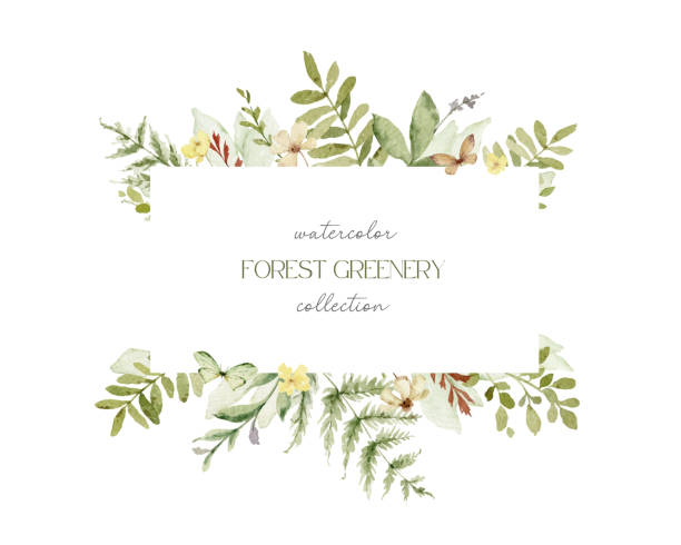 stockillustraties, clipart, cartoons en iconen met watercolor vector frame with green forest foliage and flowers. floral illustrations for  greetings, wallpapers, invitation, wedding stationary, fashion, background. - bloem