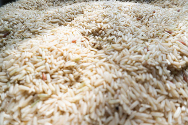 selektywna mieszanka ostrości ziarna brązowego ryżu, pszenicy - brown rice rice heap brown zdjęcia i obrazy z banku zdjęć