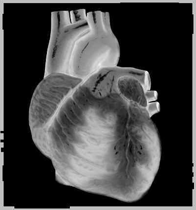 Human heart on 3D computed tomography isolated on white