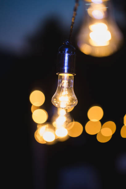 istock Light bulb decor in outdoor party. Evening wedding ceremony. 1390835996
