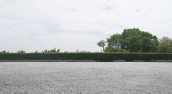 Parking lot sprinkled with gravel bush green tree blue sky nature background