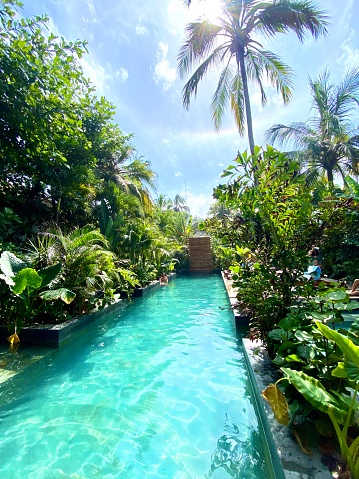 An amazing pool surrounded by tropical plants. Sunny day with a little circulated rainbow around the Sun.