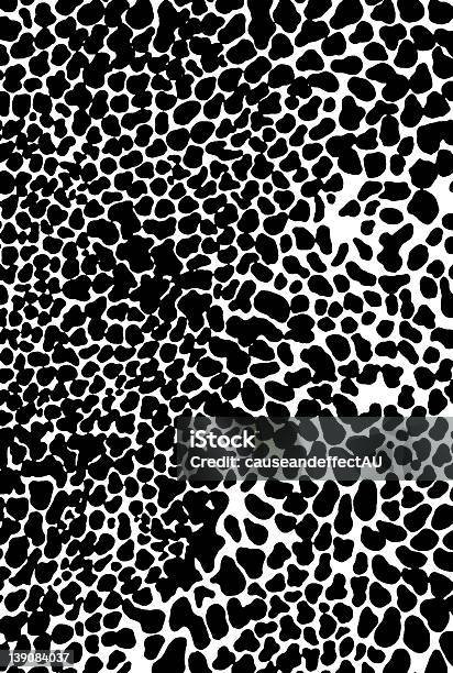 Piel De Leopardo Foto de stock y más banco de imágenes de Animal - Animal, Animal sin piel, Animales salvajes