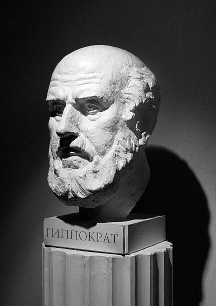 Hippocrat le buste - Photo