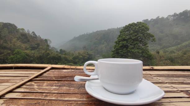 istock Cup of coffee and blurred nature background. 1390842382