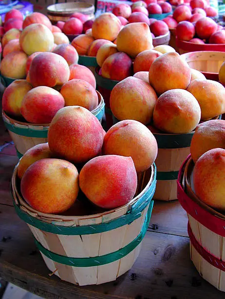 Fresh Georgia Peaches at a Roadside Produce Stand