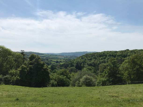 istock Scene of British countryside 1390846154