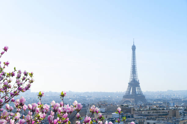 istock eiffel tour and Paris cityscape 1390846232