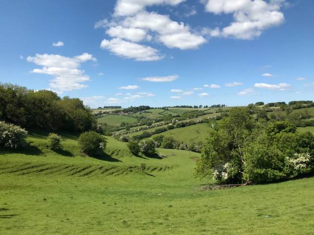 istock Scene of British countryside 1390846422