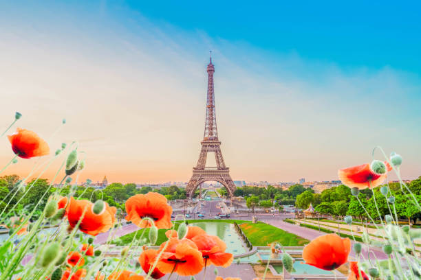 istock eiffel tour and from Trocadero, Paris 1390849313