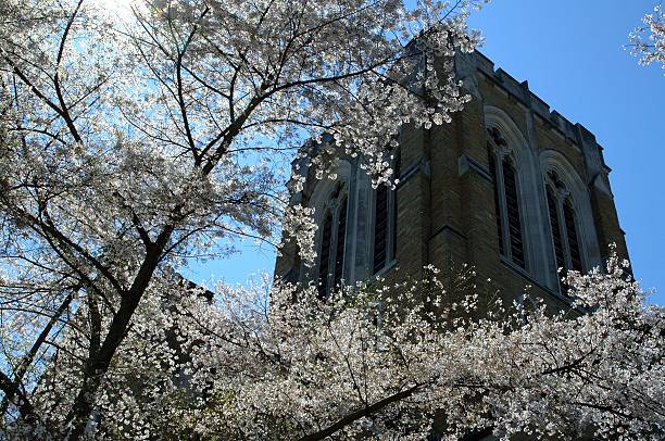 Saint Phillips-Kathedrale in Cottonwood Blüten – Foto