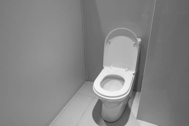 istock High-angle view of public toilets 1390851059