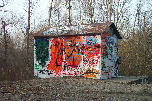 Utility shed covered in graffiti near a wooded area