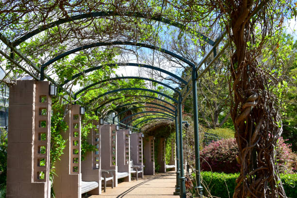 arco de la entrada al jardín - jardín botánico fotografías e imágenes de stock